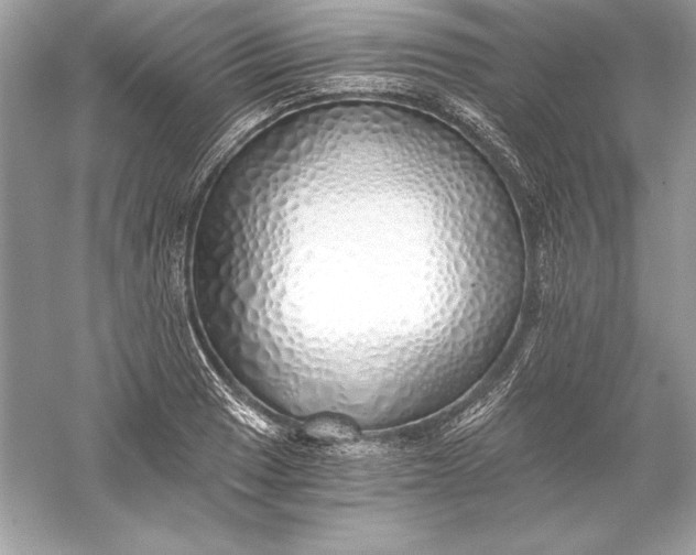 X0000056031033200509092200