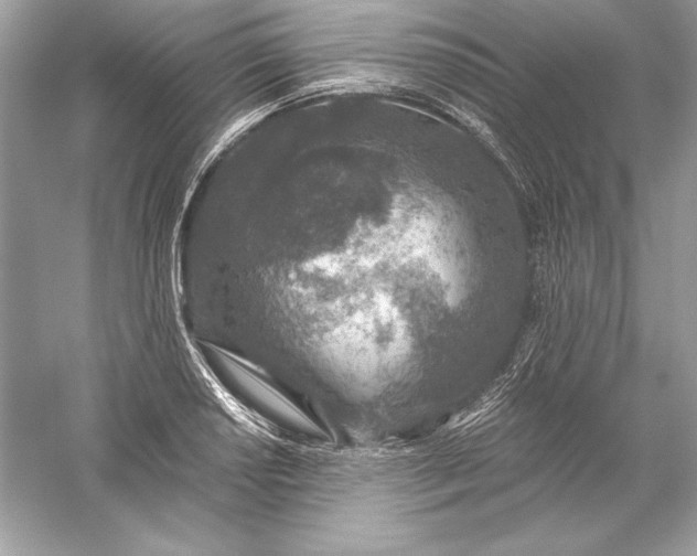 X0000056031034200509092200