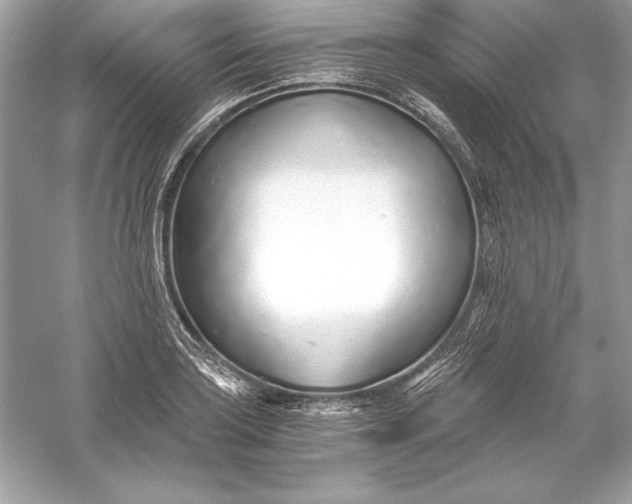 X0000056031035200509092200