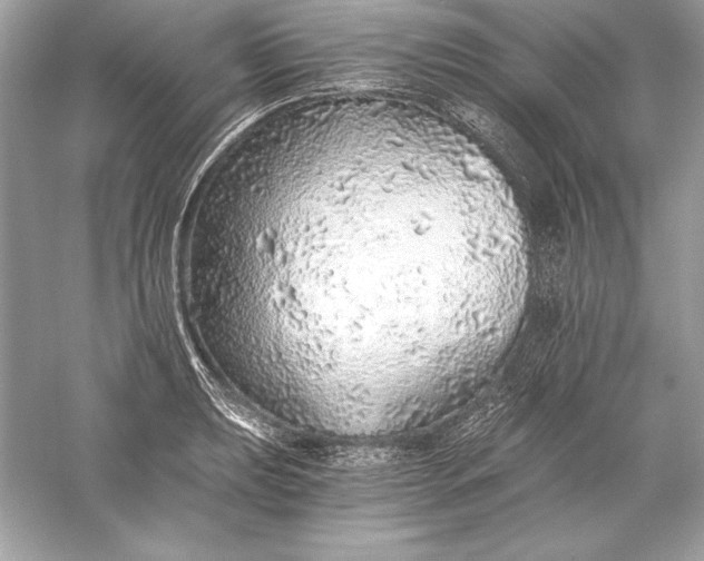 X0000056031039200509092200