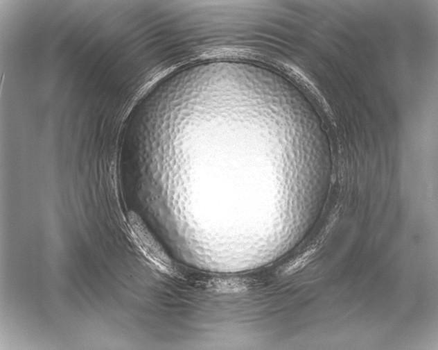 X0000056031041200509092200