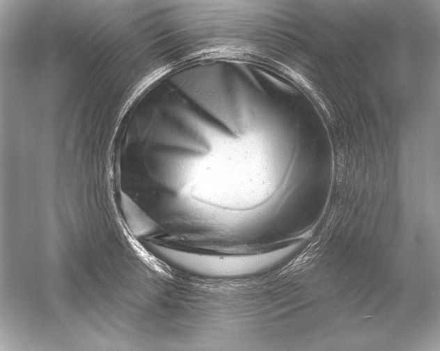 X0000056031042200509092200