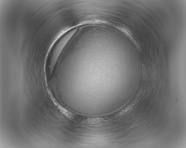 X0000056031046200509092200