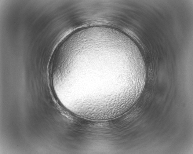 X0000056031047200509092200