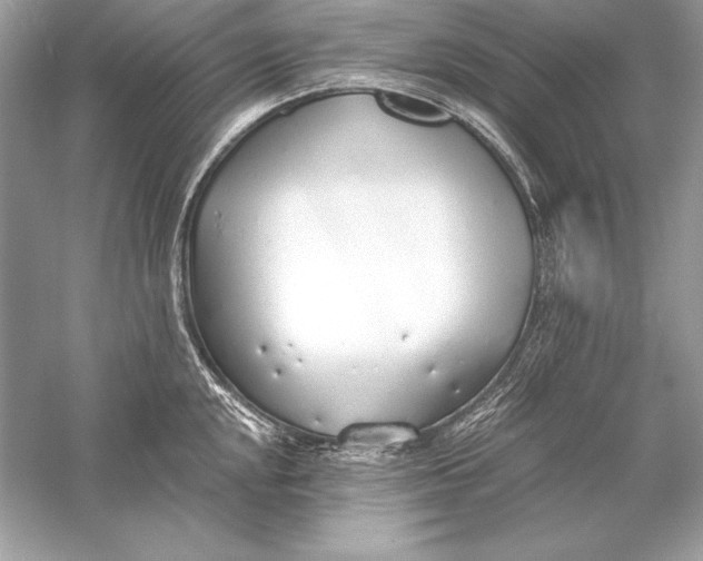 X0000056031048200509092200