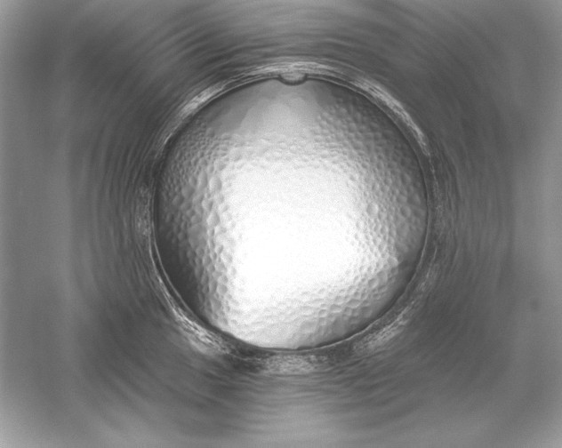 X0000056031049200509092200