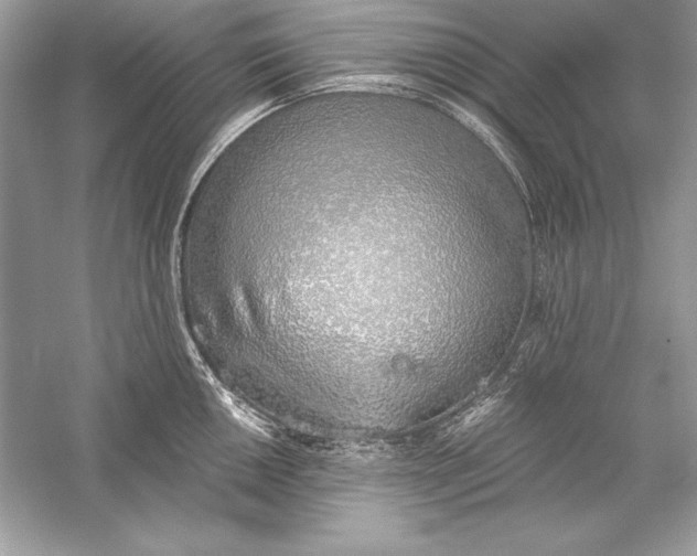 X0000056031050200509092200