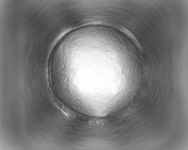 X0000056031051200509092200