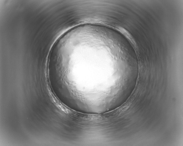 X0000056031052200509092200