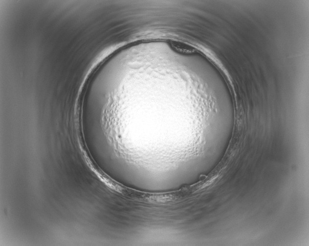 X0000056031053200509092200