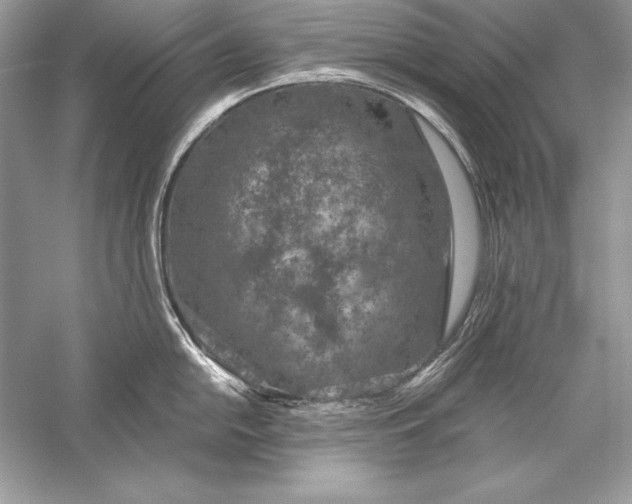 X0000056031054200509092200