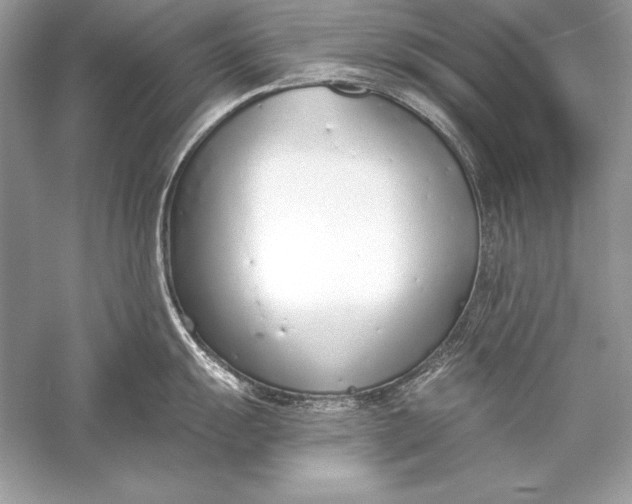 X0000056031055200509092200