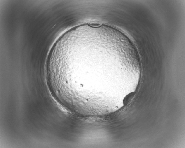 X0000056031056200509092200