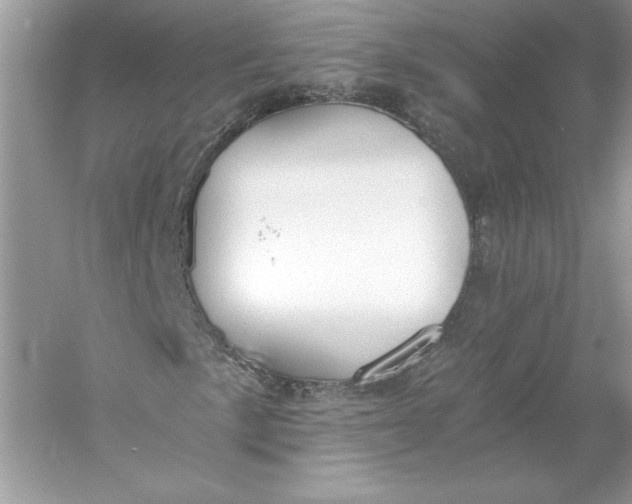 X0000056031057200509092159