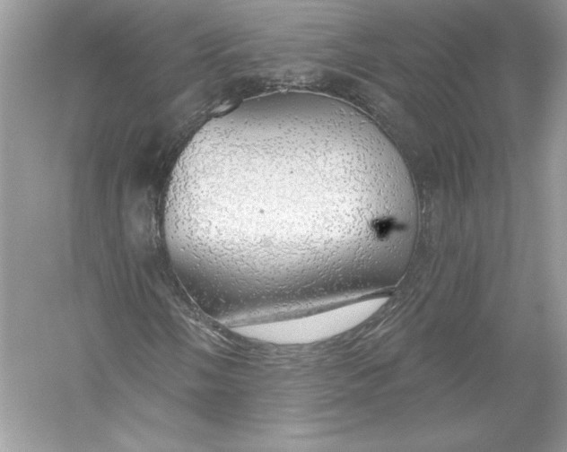 X0000056031058200509092159