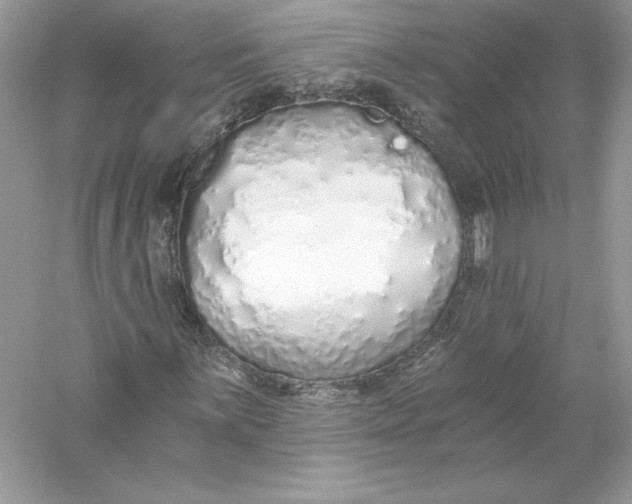 X0000056031059200509092159