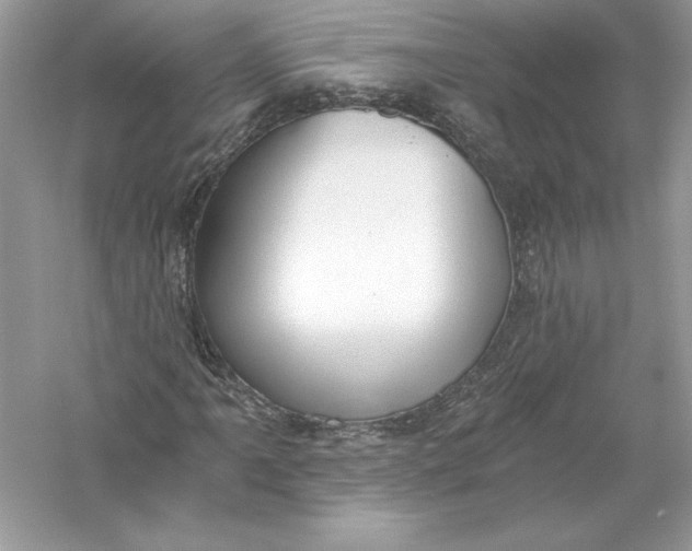 X0000056031061200509092159