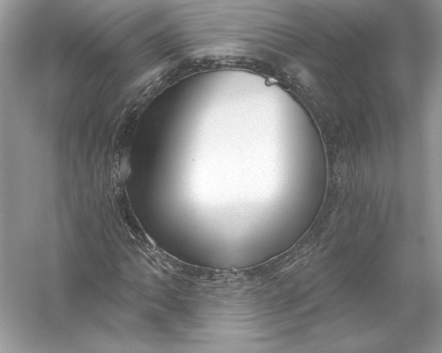 X0000056031062200509092159