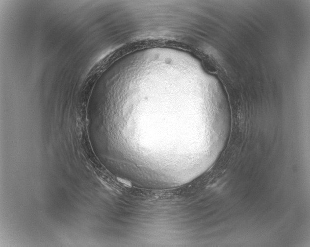 X0000056031064200509092159