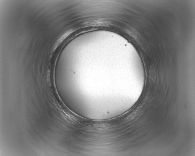 X0000056031066200509092159