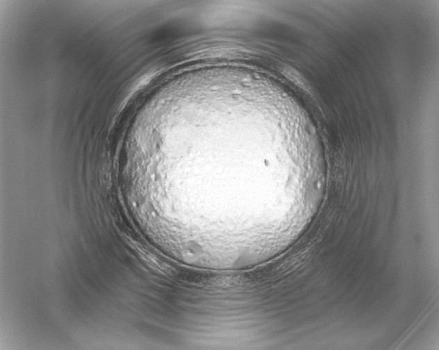 X0000056031067200509092159