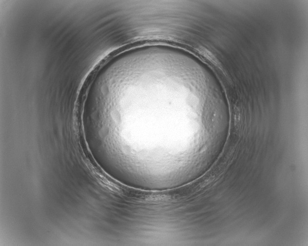 X0000056031068200509092159