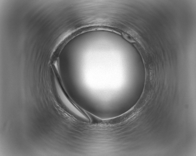 X0000056031069200509092159