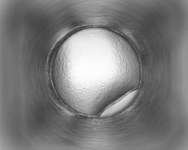 X0000056031071200509092159