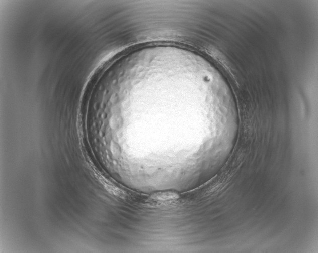 X0000056031072200509092159