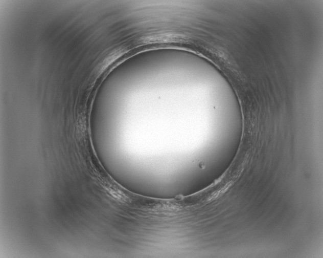 X0000056031073200509092159