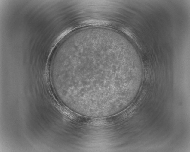 X0000056031074200509092159