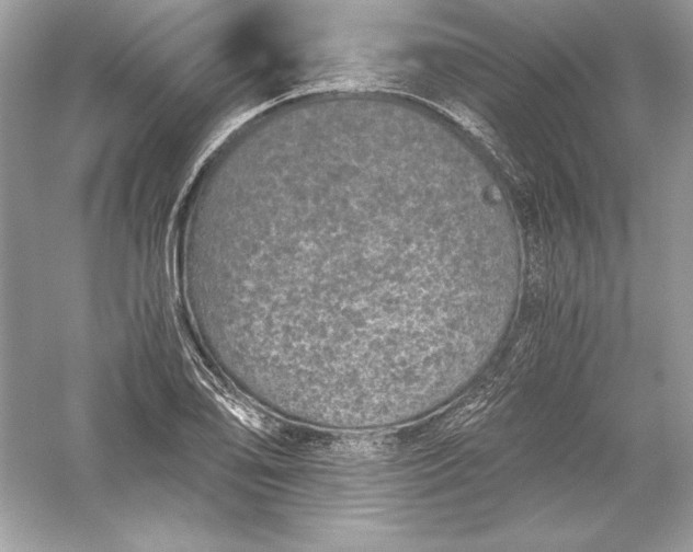 X0000056031078200509092159