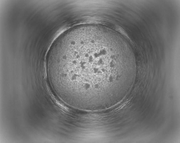 X0000056031079200509092159