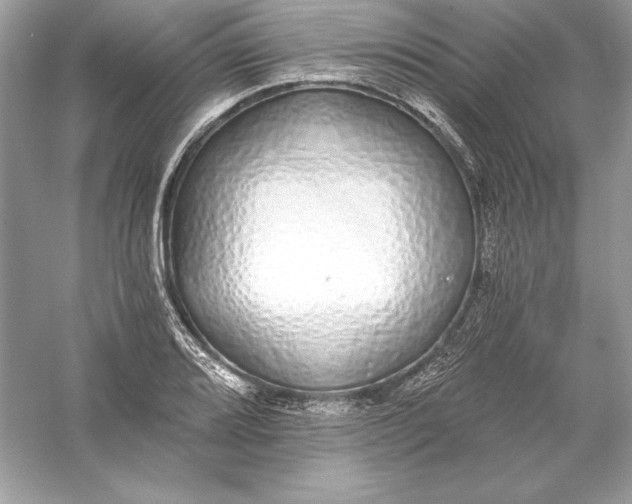 X0000056031080200509092159