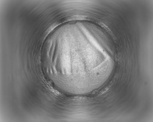 X0000056031081200509092159