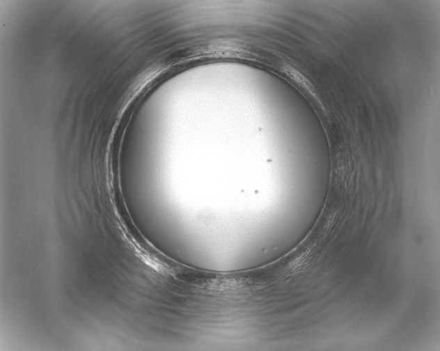 X0000056031082200509092159