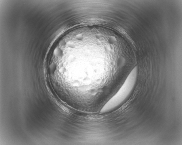 X0000056031083200509092159