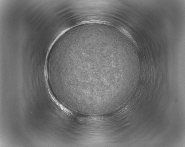 X0000056031084200509092159