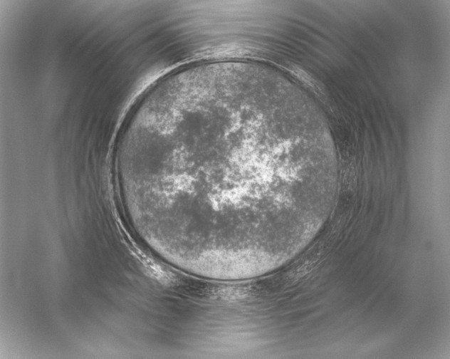 X0000056031086200509092159