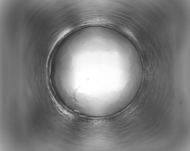 X0000056031087200509092159