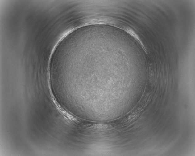 X0000056031088200509092159