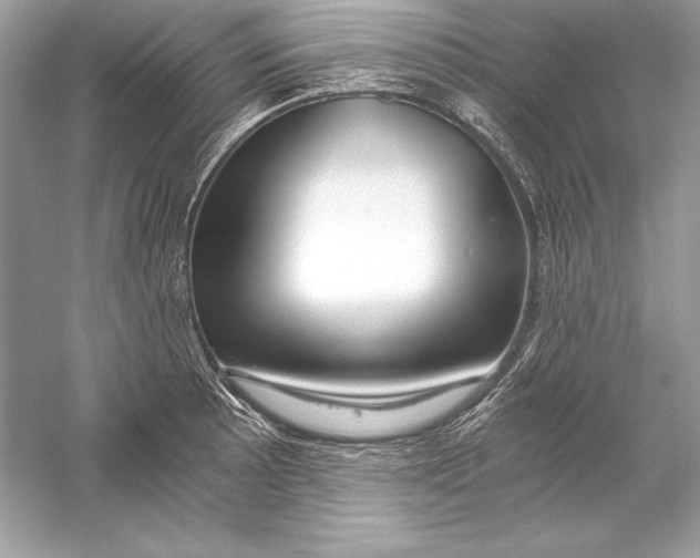 X0000056031089200509092159