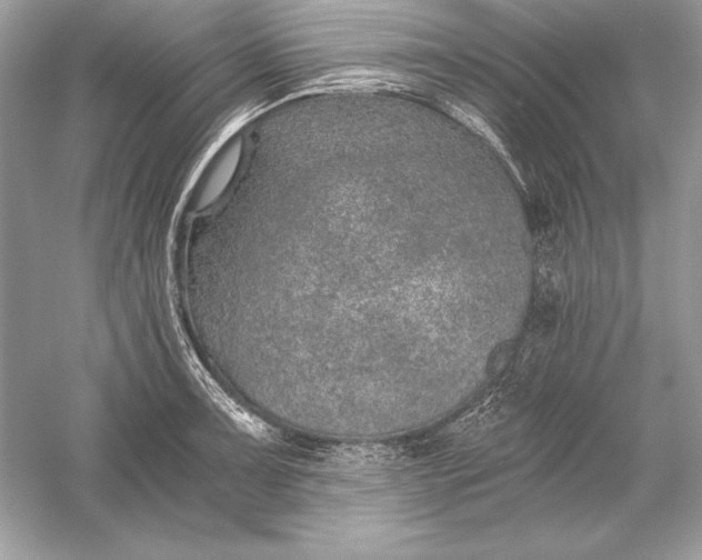 X0000056031091200509092159