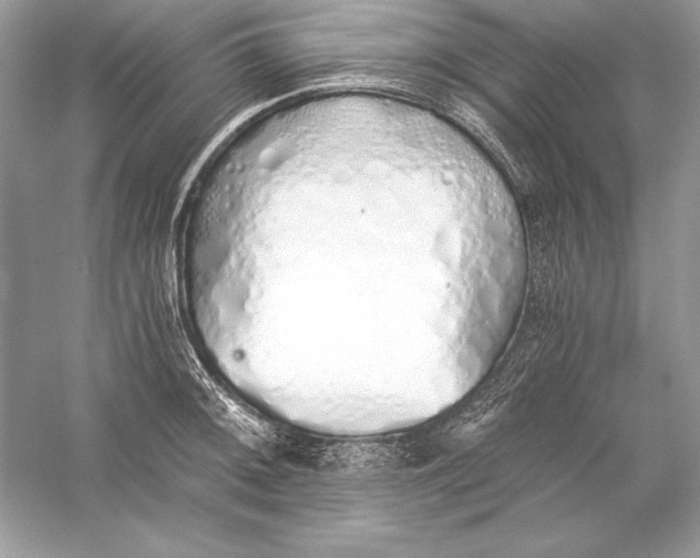 X0000056031092200509092159