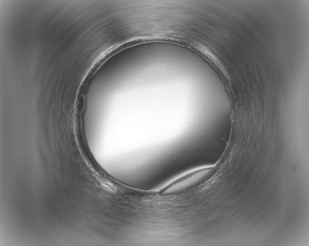 X0000056031093200509092159