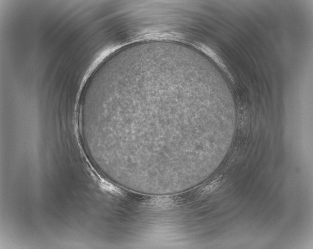 X0000056031094200509092159