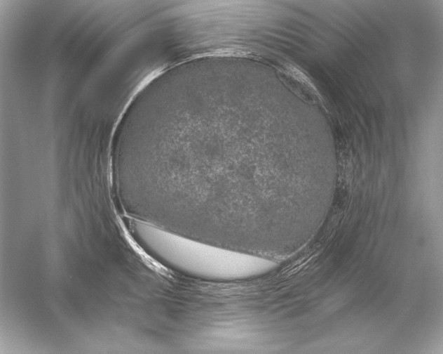 X0000056031095200509092159