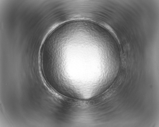 X0000056031096200509092158