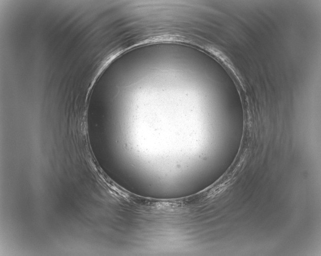 X0000056031097200509092158