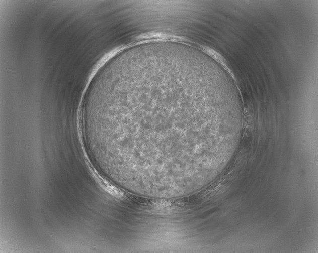 X0000056031098200509092158